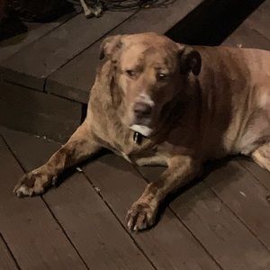 Meet your Posher, Becca